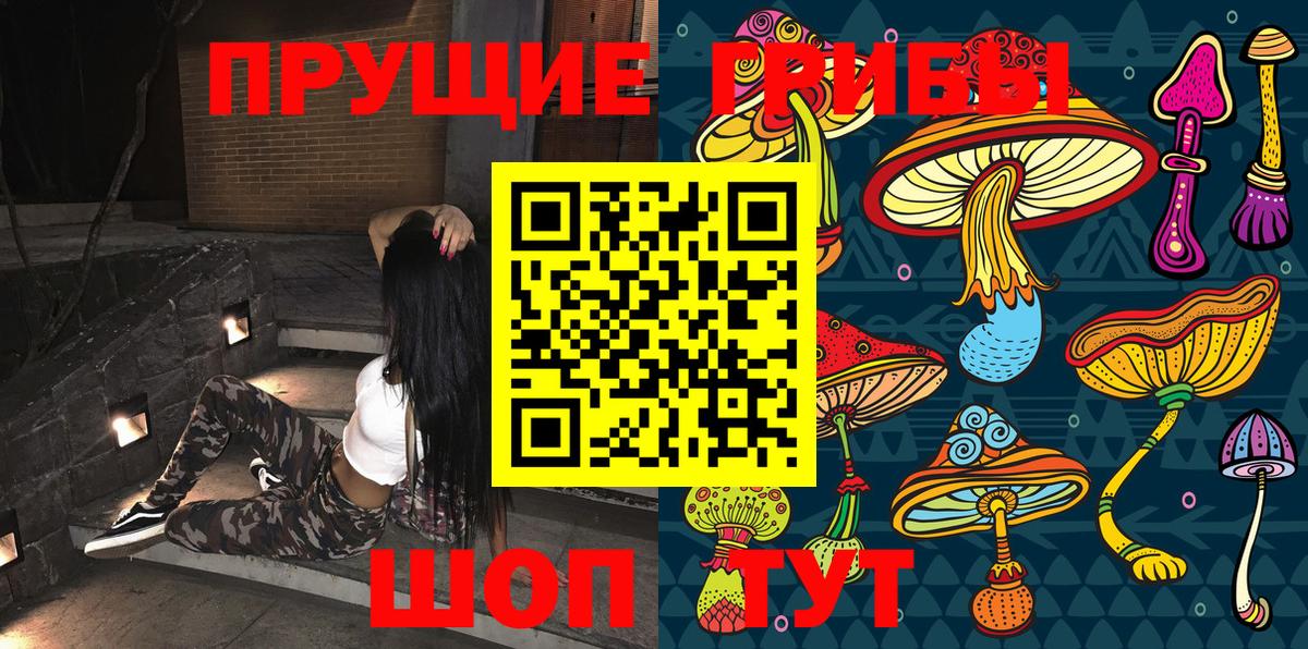 Псилоцибиновые грибы Cubensis  купить   Калуга  Вход с VPN 
