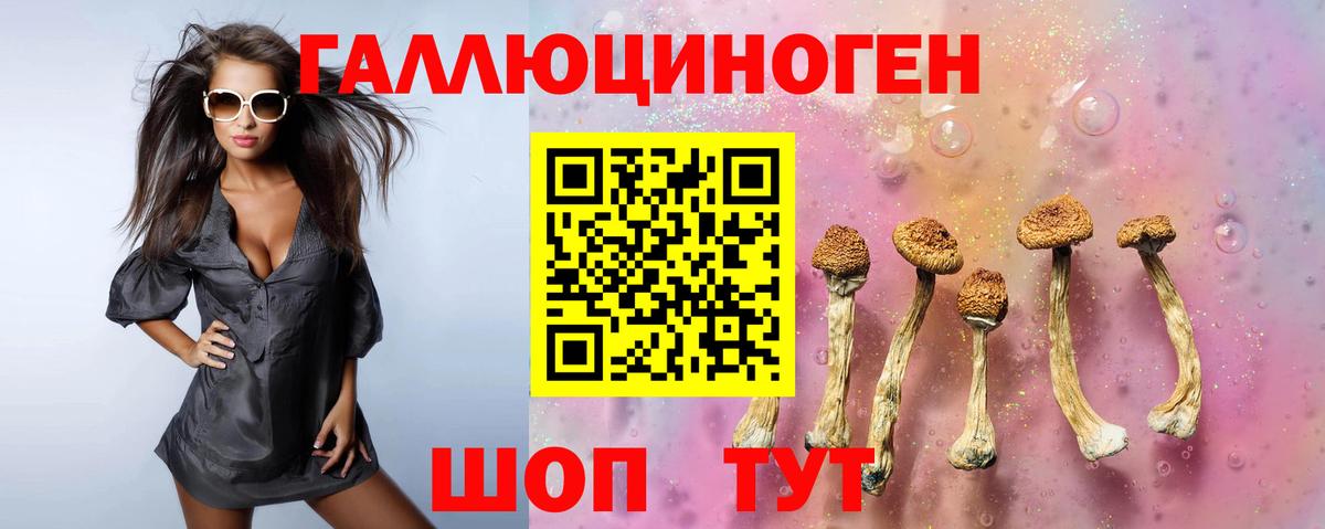 Псилоцибиновые грибы прущие грибы Калуга